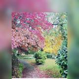 (Category: ) located in . Submitted by dipvi (Listing ID 1365604196, Image 1). Description: .
