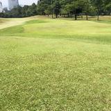(Category: ) located in . Submitted by tosatar (Listing ID 1436429860, Image 1). Description: .