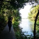 (Category: ) located in . Submitted by singyee16 (Listing ID 1456375292, Image 1). Description: .