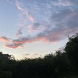 (Category: ) located in . Submitted by mchxl (Listing ID 1380103158, Image 1). Description: .
