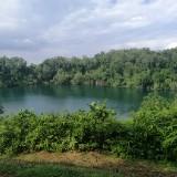 (Category: ) located in . Submitted by sylpurging (Listing ID 1344098359, Image 1). Description: .