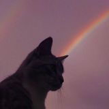 (Category: ) located in . Submitted by xiao7colour (Listing ID 1349691005, Image 1). Description: .