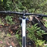 trinx x1200 pro