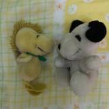 (Category: ) located in . Submitted by momo72 (Listing ID 1363299663, Image 1). Description: .