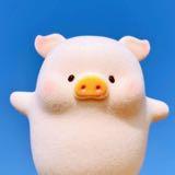 （分類：）位於 。 由 lelia.y 提交（商品編號 239730017，圖片 1）。簡介： 。
