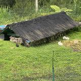 (Kategori: ) berada di . Dikirim oleh cavy28 (ID iklan 1339763581, Gambar 1). Deskripsi: .
