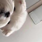 (Category: ) located in . Submitted by o_____o (Listing ID 1352622830, Image 1). Description: .
