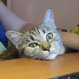 (Category: ) located in . Submitted by yan.sc (Listing ID 1356300265, Image 1). Description: .