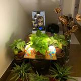 (Category: ) located in . Submitted by ankita91 (Listing ID 1385277476, Image 1). Description: .