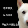 頭像