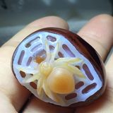 （分類：）位於 。 由 crystal_law000 提交（商品編號 1385361934，圖片 1）。簡介： 。