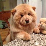 （分類：）位於 。 由 whisperee 提交（商品編號 1300722808，圖片 1）。簡介： 。