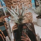 (Category: ) located in . Submitted by lustlux (Listing ID 1369451049, Image 1). Description: .