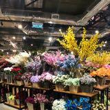 (Category: ) located in . Submitted by imayerene (Listing ID 1299864392, Image 1). Description: .