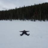 (Category: ) located in . Submitted by bbmerc (Listing ID 1381650417, Image 1). Description: .