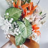 (Category: ) located in . Submitted by haylee (Listing ID 1459995741, Image 1). Description: .