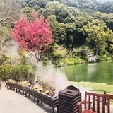 （分類：）位於 。 由 qwzxc 提交（商品編號 1378694888，圖片 1）。簡介： 。
