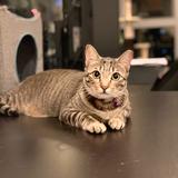 (Category: ) located in . Submitted by thinkingwithportals (Listing ID 1458431453, Image 1). Description: .