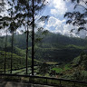 (Category: ) located in . Submitted by yodachiam (Listing ID 1162460386, Image 1). Description: .