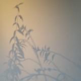 (Category: ) located in . Submitted by blozzemm_ (Listing ID 1368637624, Image 1). Description: .