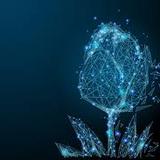 （分類：）位於 。 由 hitech_company 提交（商品編號 1085084033，圖片 1）。簡介： 。