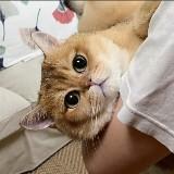 (Category: ) located in . Submitted by tele1 (Listing ID 1467636708, Image 1). Description: .