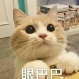 由 j507382 (刊登 ID 1230076289，圖片 1) 提交，位於 的 (類別：)，說明：。