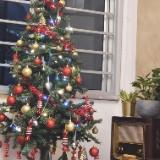 (Category: ) located in . Submitted by mindygohmin (Listing ID 1375157822, Image 1). Description: .