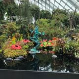 (Category: ) located in . Submitted by tingkatherine (Listing ID 1446729017, Image 1). Description: .