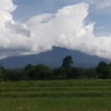 (Kategori: ) berada di . Dikirim oleh Ghibeest (ID iklan 1380579824, Gambar 1). Deskripsi: .