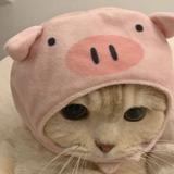 (Category: ) located in . Submitted by yjica (Listing ID 1379423806, Image 1). Description: .