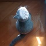 (分類:)位於 。 由 hebebe2 提交(商品編號 1468096145,圖片 1)。簡介: 。