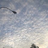 (Category: ) located in . Submitted by kkall (Listing ID 1379274184, Image 1). Description: .