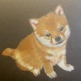（分類：）位於 。 由 letsselll 提交（商品編號 1342229605，圖片 1）。簡介： 。
