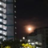 (Category: ) located in . Submitted by simplestar (Listing ID 1321140944, Image 1). Description: .