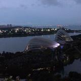 (Category: ) located in . Submitted by lihonggg (Listing ID 1377522294, Image 1). Description: .