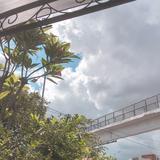 (Kategori: ) berada di . Dikirim oleh rakumma.id (ID iklan 1341340974, Gambar 1). Deskripsi: .