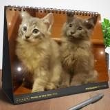 (Category: ) located in . Submitted by catzzmamy (Listing ID 1384768697, Image 1). Description: .