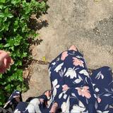 (Category: ) located in . Submitted by isabelstash (Listing ID 1449812336, Image 1). Description: .