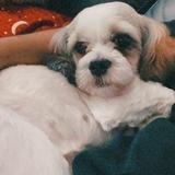 (Category: ) located in . Submitted by thrshaner (Listing ID 1381428677, Image 1). Description: .