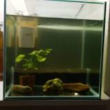 （分類：）位於 。 由 t0906 提交（商品編號 1366585920，圖片 1）。簡介： 。