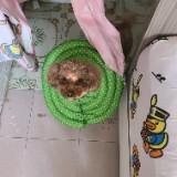 （分類：）位於 。 由 chungho711 提交（商品編號 1359261675，圖片 1）。簡介： 。