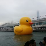 （分類：）位於 。 由 dms413 提交（商品編號 1386584204，圖片 1）。簡介： 。