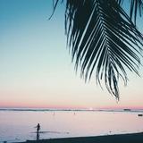 (Category: ) located in . Submitted by gwhnl (Listing ID 1376086787, Image 1). Description: .