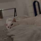 (Category: ) located in . Submitted by bly01 (Listing ID 1452458363, Image 1). Description: .