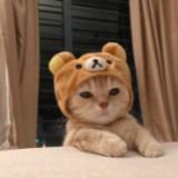 (Kategori: ) berada di . Dikirim oleh buynbuyyyy (ID iklan 1374810216, Gambar 1). Deskripsi: .