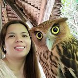 (Category: ) located in . Submitted by marinelcoronel (Listing ID 1333335693, Image 1). Description: .