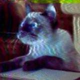 (Category: ) located in . Submitted by benjaminl33 (Listing ID 1379828329, Image 1). Description: .