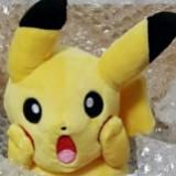 (Category: ) located in . Submitted by Pikavication (Listing ID 1357032536, Image 1). Description: .