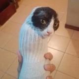 (Category: ) located in . Submitted by needforcash (Listing ID 1383362016, Image 1). Description: .